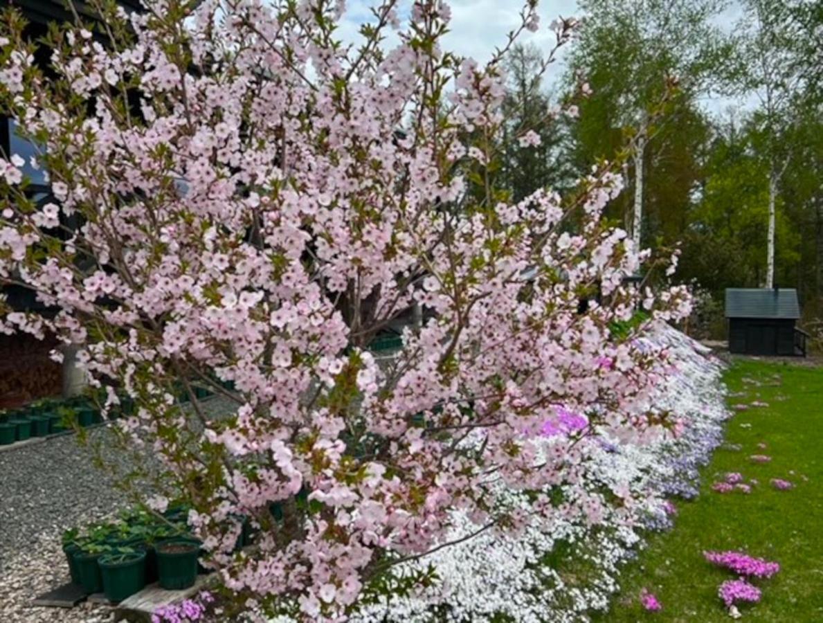 Affittacamere Ritz Garden Niji Biei Esterno foto