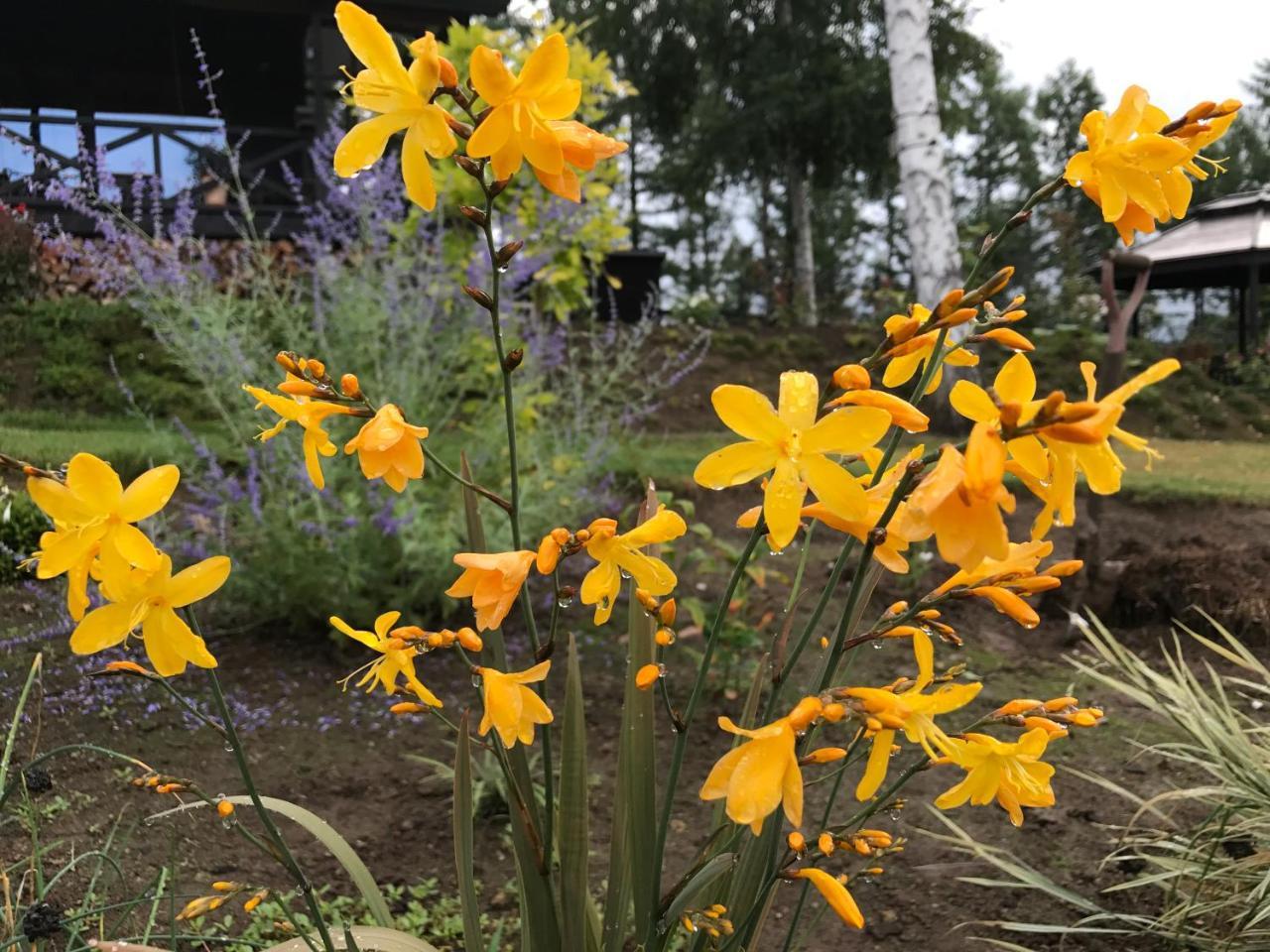 Affittacamere Ritz Garden Niji Biei Esterno foto